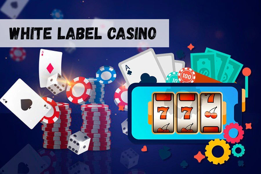 White Lable Casino: быстрое открытие собственного клуба